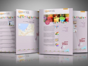 בניית אתרים בחיפה וצפון - זכאי קום